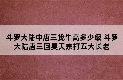 斗罗大陆中唐三找牛高多少级 斗罗大陆唐三回昊天宗打五大长老